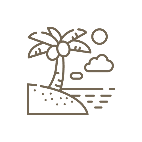 icono 4