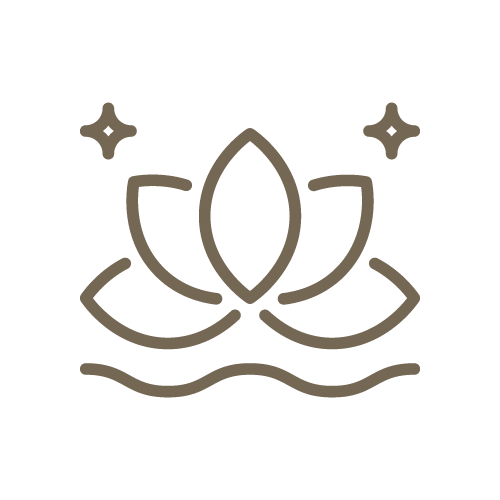 icono 5